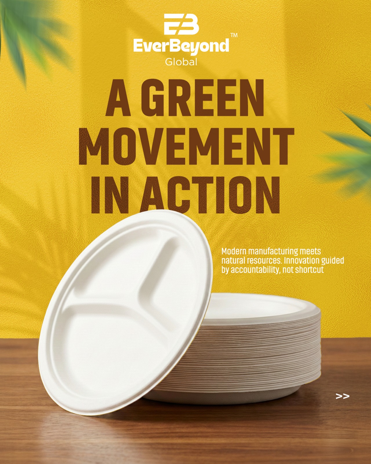 Biodegradable Tableware Manufacturing